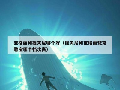 宝格丽和提夫尼哪个好（提夫尼和宝格丽梵克雅宝哪个档次高）