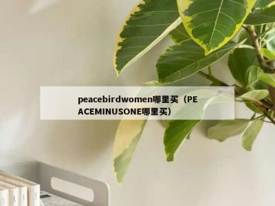 peacebirdwomen哪里买（PEACEMINUSONE哪里买）