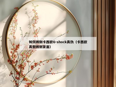 如何辨别卡西欧G-shock真伪（卡西欧真假辨别背面）
