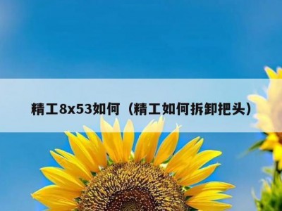 精工8x53如何（精工如何拆卸把头）