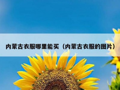 内蒙古衣服哪里能买（内蒙古衣服的图片）