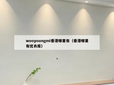 wooyoungmi香港哪里有（香港哪里有优衣库）