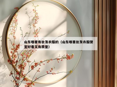 山东哪里有批发衣服的（山东哪里批发衣服便宜好看又有质量）