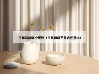 玉和马脑哪个更好（玉马和葫芦是吉还是凶）