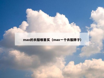 max的衣服哪里买（max一个衣服牌子）