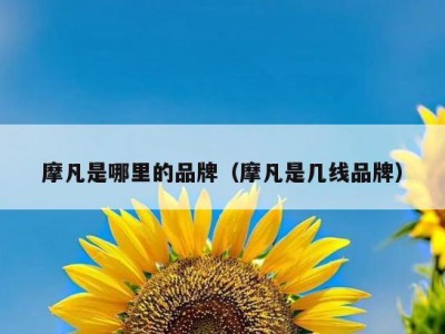 摩凡是哪里的品牌（摩凡是几线品牌）