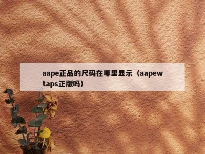 aape正品的尺码在哪里显示（aapewtaps正版吗）