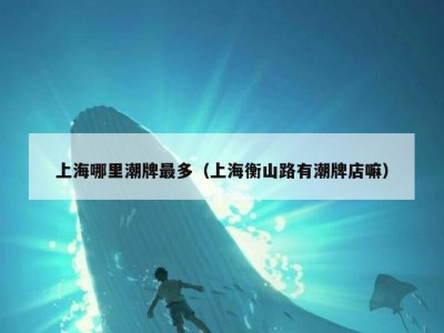 上海哪里潮牌最多（上海衡山路有潮牌店嘛）