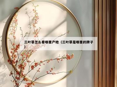 三叶草怎么看哪里产地（三叶草是哪里的牌子）