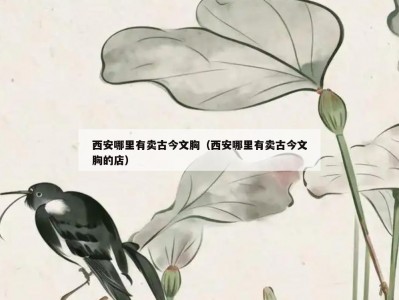 西安哪里有卖古今文胸（西安哪里有卖古今文胸的店）