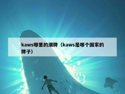 kaws哪里的潮牌（kaws是哪个国家的牌子）