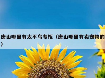唐山哪里有太平鸟专柜（唐山哪里有卖宠物的）