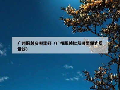 广州服装店哪里好（广州服装批发哪里便宜质量好）