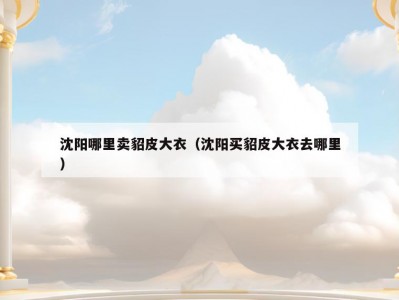 沈阳哪里卖貂皮大衣（沈阳买貂皮大衣去哪里）