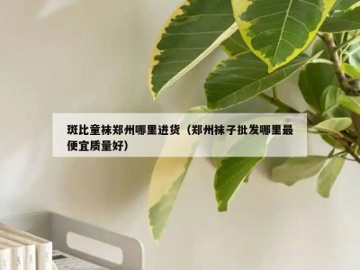 斑比童袜郑州哪里进货（郑州袜子批发哪里最便宜质量好）