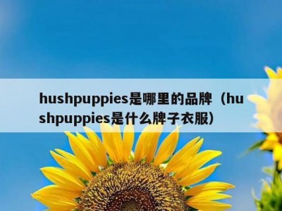 hushpuppies是哪里的品牌（hushpuppies是什么牌子衣服）