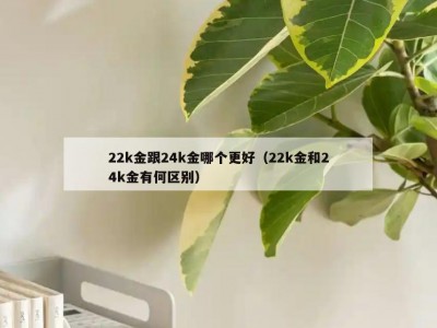 22k金跟24k金哪个更好（22k金和24k金有何区别）