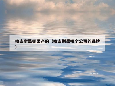 哈吉斯是哪里产的（哈吉斯是哪个公司的品牌）