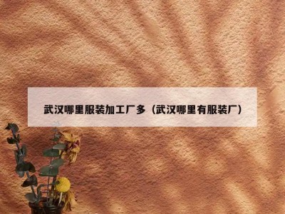 武汉哪里服装加工厂多（武汉哪里有服装厂）