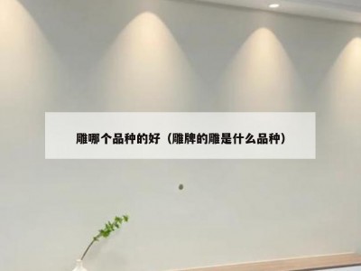 雕哪个品种的好（雕牌的雕是什么品种）