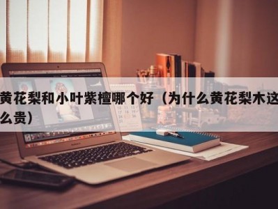 黄花梨和小叶紫檀哪个好（为什么黄花梨木这么贵）
