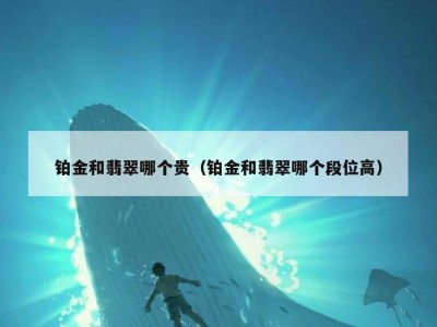 铂金和翡翠哪个贵（铂金和翡翠哪个段位高）