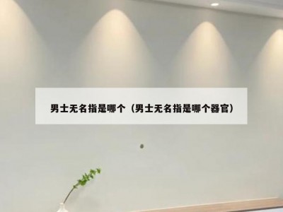 男士无名指是哪个（男士无名指是哪个器官）