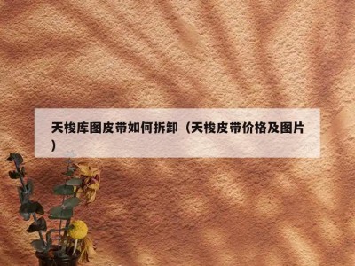 天梭库图皮带如何拆卸（天梭皮带价格及图片）