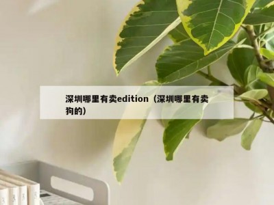 深圳哪里有卖edition（深圳哪里有卖狗的）