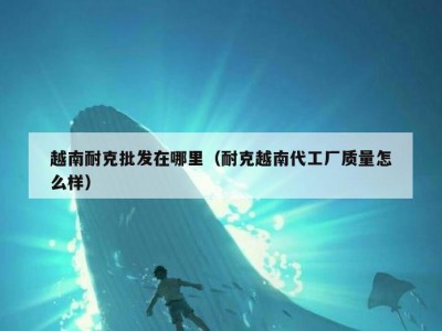 越南耐克批发在哪里（耐克越南代工厂质量怎么样）
