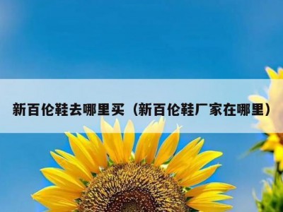 新百伦鞋去哪里买（新百伦鞋厂家在哪里）