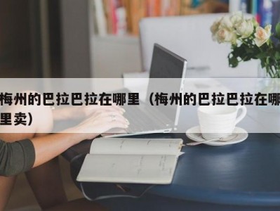 梅州的巴拉巴拉在哪里（梅州的巴拉巴拉在哪里卖）