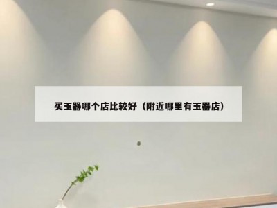 买玉器哪个店比较好（附近哪里有玉器店）