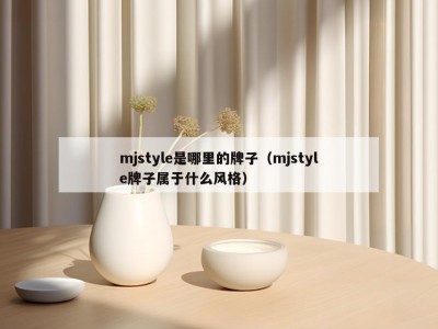 mjstyle是哪里的牌子（mjstyle牌子属于什么风格）