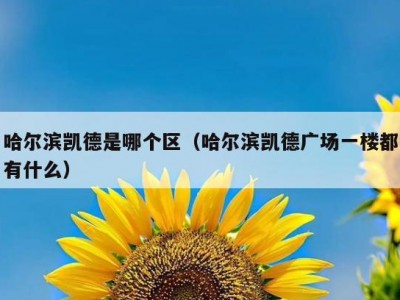 哈尔滨凯德是哪个区（哈尔滨凯德广场一楼都有什么）