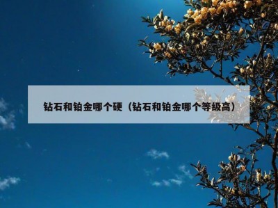 钻石和铂金哪个硬（钻石和铂金哪个等级高）