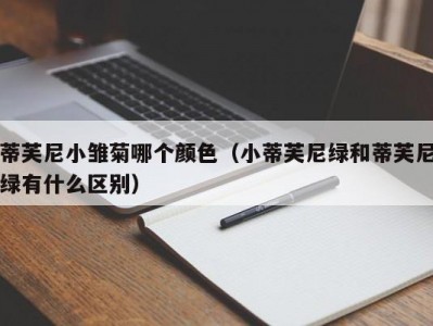 蒂芙尼小雏菊哪个颜色（小蒂芙尼绿和蒂芙尼绿有什么区别）