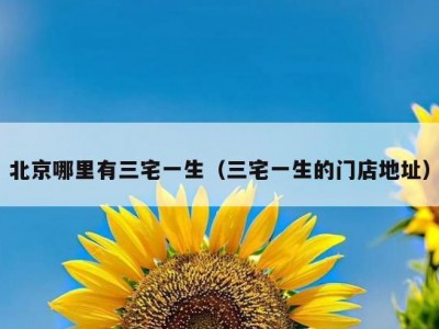 北京哪里有三宅一生（三宅一生的门店地址）