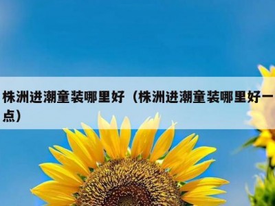 株洲进潮童装哪里好（株洲进潮童装哪里好一点）