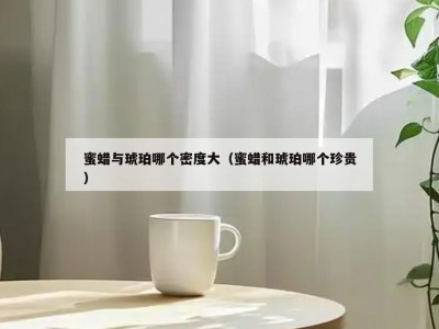 蜜蜡与琥珀哪个密度大（蜜蜡和琥珀哪个珍贵）