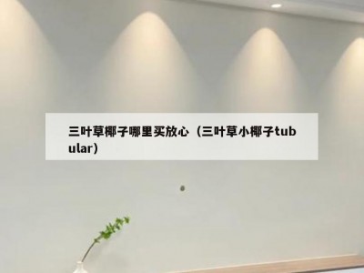 三叶草椰子哪里买放心（三叶草小椰子tubular）