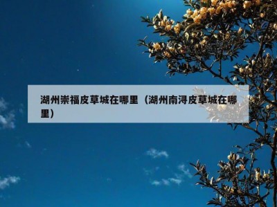 湖州崇福皮草城在哪里（湖州南浔皮草城在哪里）