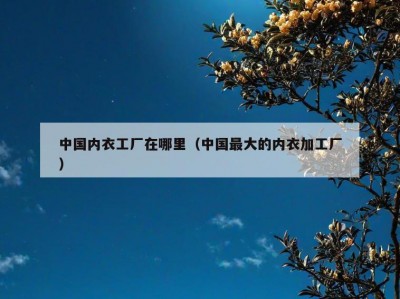 中国内衣工厂在哪里（中国最大的内衣加工厂）