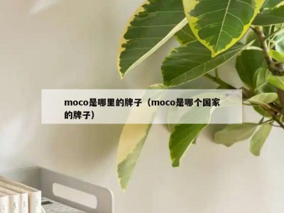 moco是哪里的牌子（moco是哪个国家的牌子）