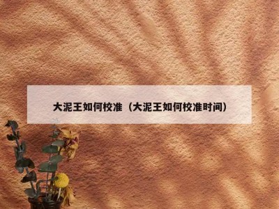 大泥王如何校准（大泥王如何校准时间）