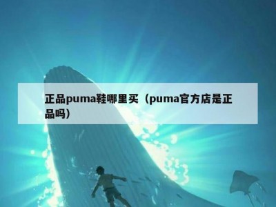 正品puma鞋哪里买（puma官方店是正品吗）