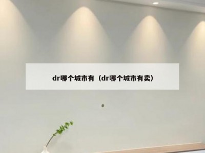 dr哪个城市有（dr哪个城市有卖）