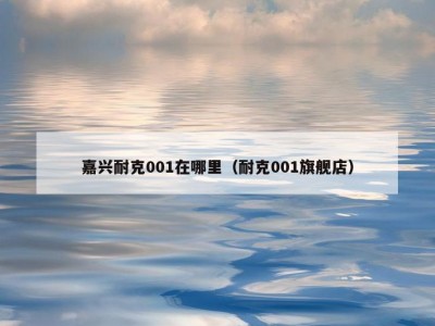 嘉兴耐克001在哪里（耐克001旗舰店）