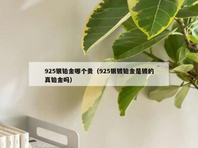 925银铂金哪个贵（925银镀铂金是镀的真铂金吗）