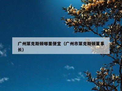 广州莱克斯顿哪里便宜（广州市莱克斯顿董事长）